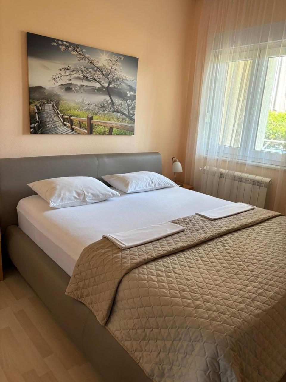 Apartments Knezevic Улцинь Екстер'єр фото