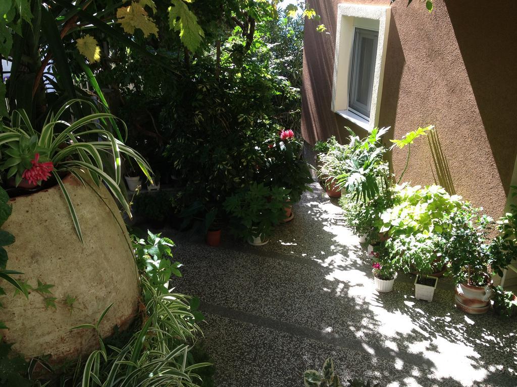 Apartments Knezevic Улцинь Екстер'єр фото